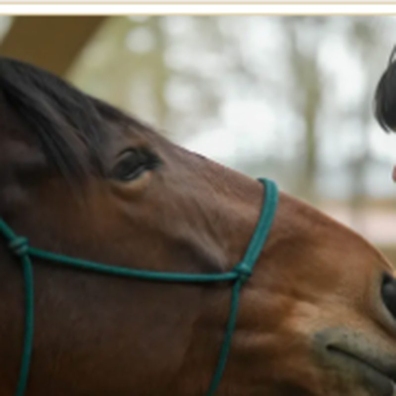 Un cheval et une personne, naseaux contre visage — un moment de médiation équine au cœur de la mission d'EquiAction (crédit FFE / EB).