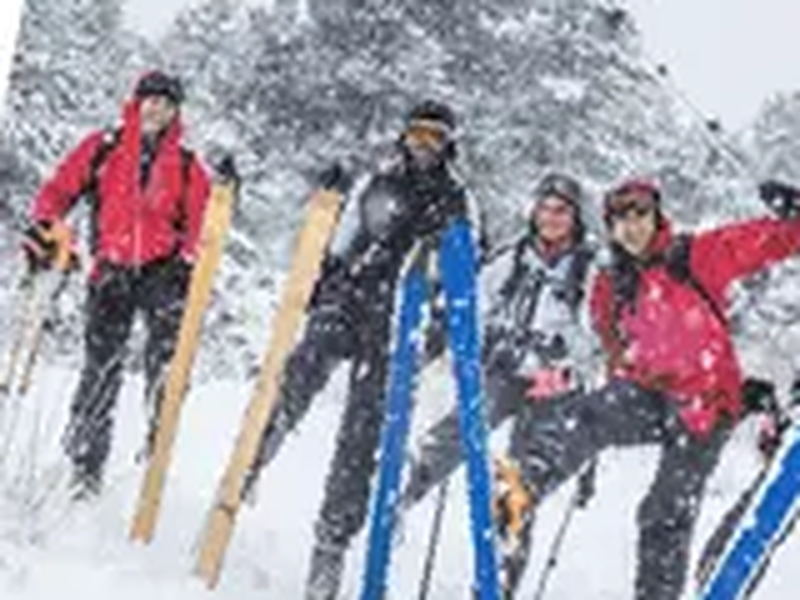 Les Alpes : groupe de skieurs de randonnée progressant dans la neige fraîche au milieu des sapins enneigés.