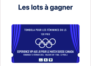 Recadrage de l'aperçu d'un lot — expérience VIP aux Jeux pour le match Suisse–Canada, 1ᵉʳ prix du Mini Papet du LS.