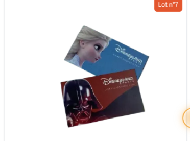 Deux billets d'entrée Disneyland Paris, lot n°7 de la tombola La Tanière.